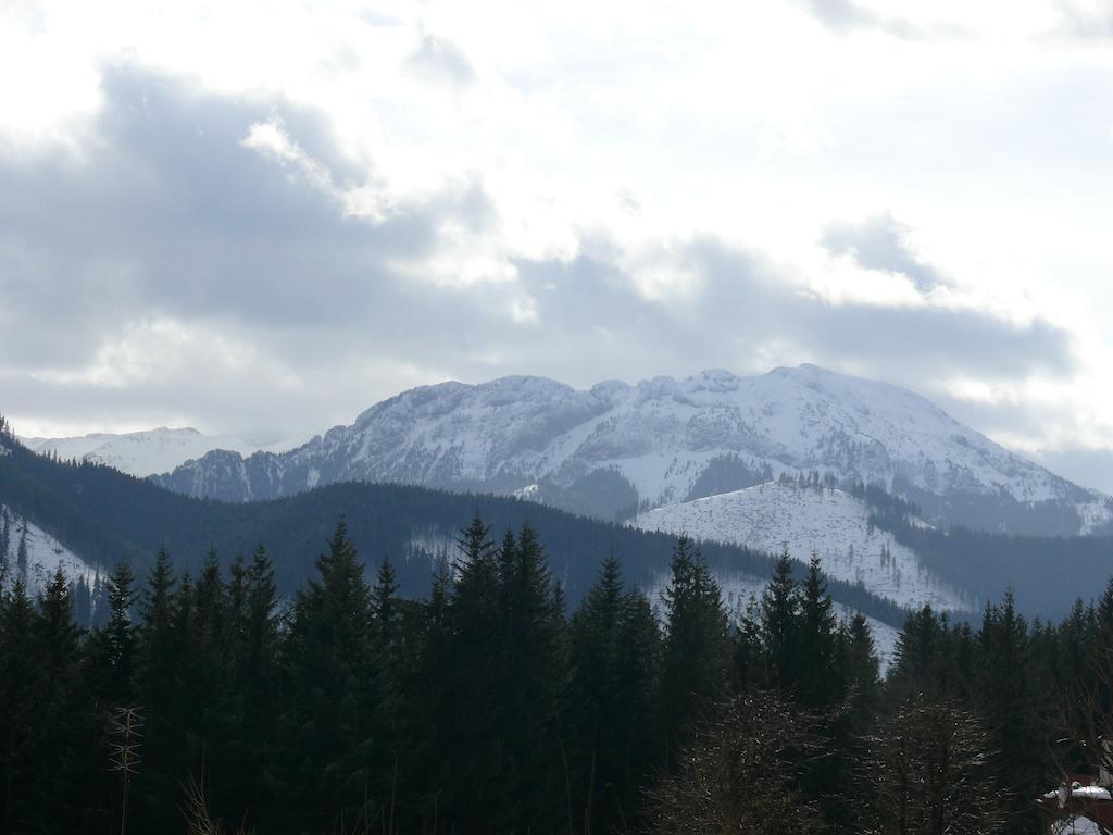 Willa Pod Lasem Kościelisko Buitenkant foto