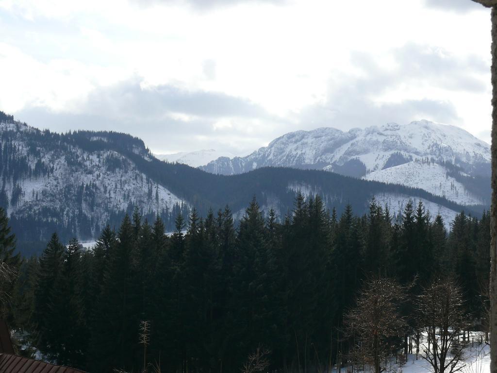Willa Pod Lasem Kościelisko Buitenkant foto